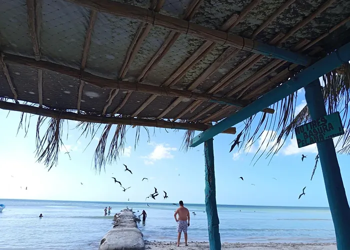 Mi Habitat Holbox-Maravilla Natural