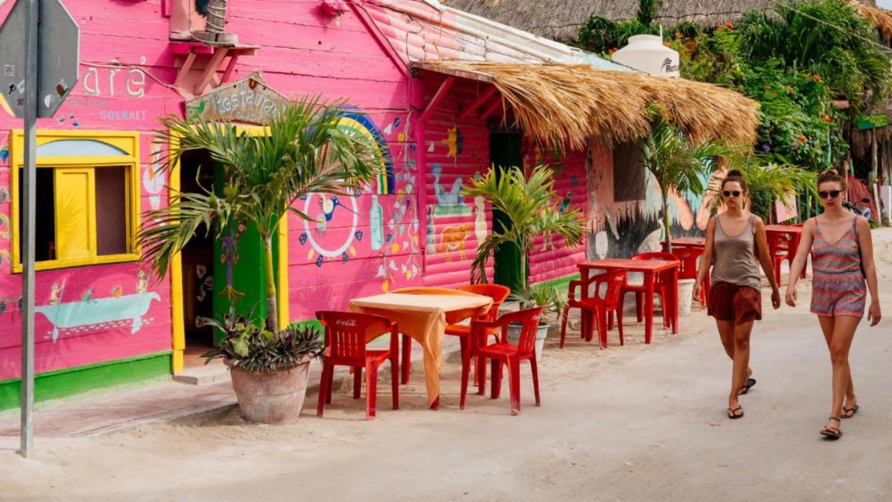 Mi Habitat Holbox-maravilla Natural Isla Holbox
