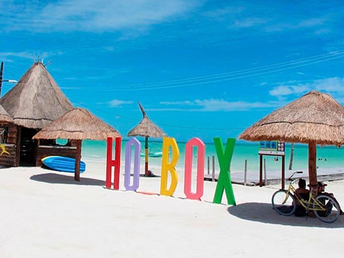 Mi Habitat Holbox-maravilla Natural