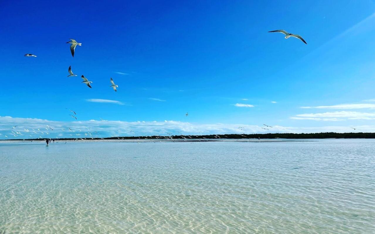 Apartment Mi Habitat Holbox-maravilla Natural Isla Holbox