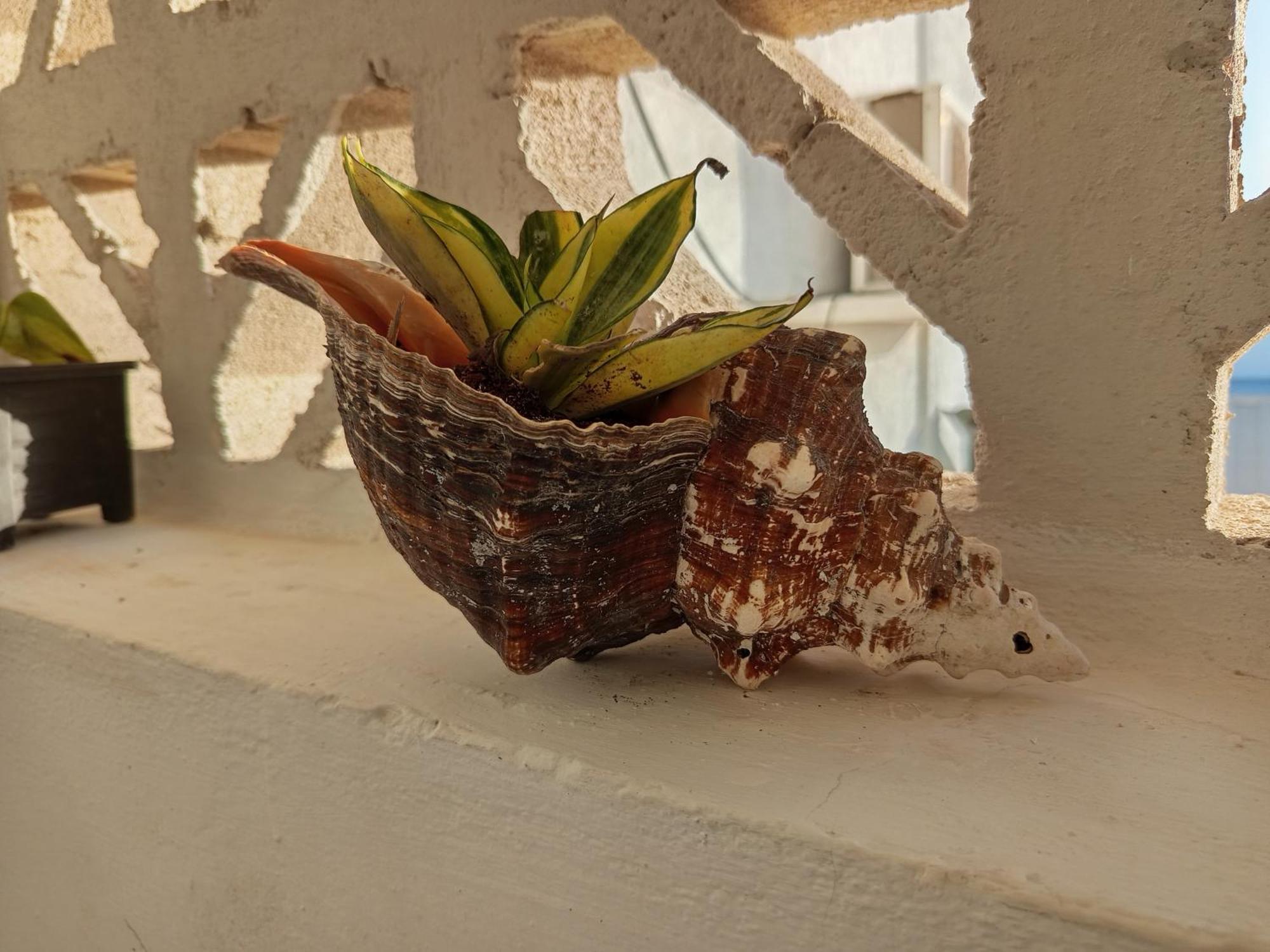 Mi Habitat Holbox-maravilla Natural *