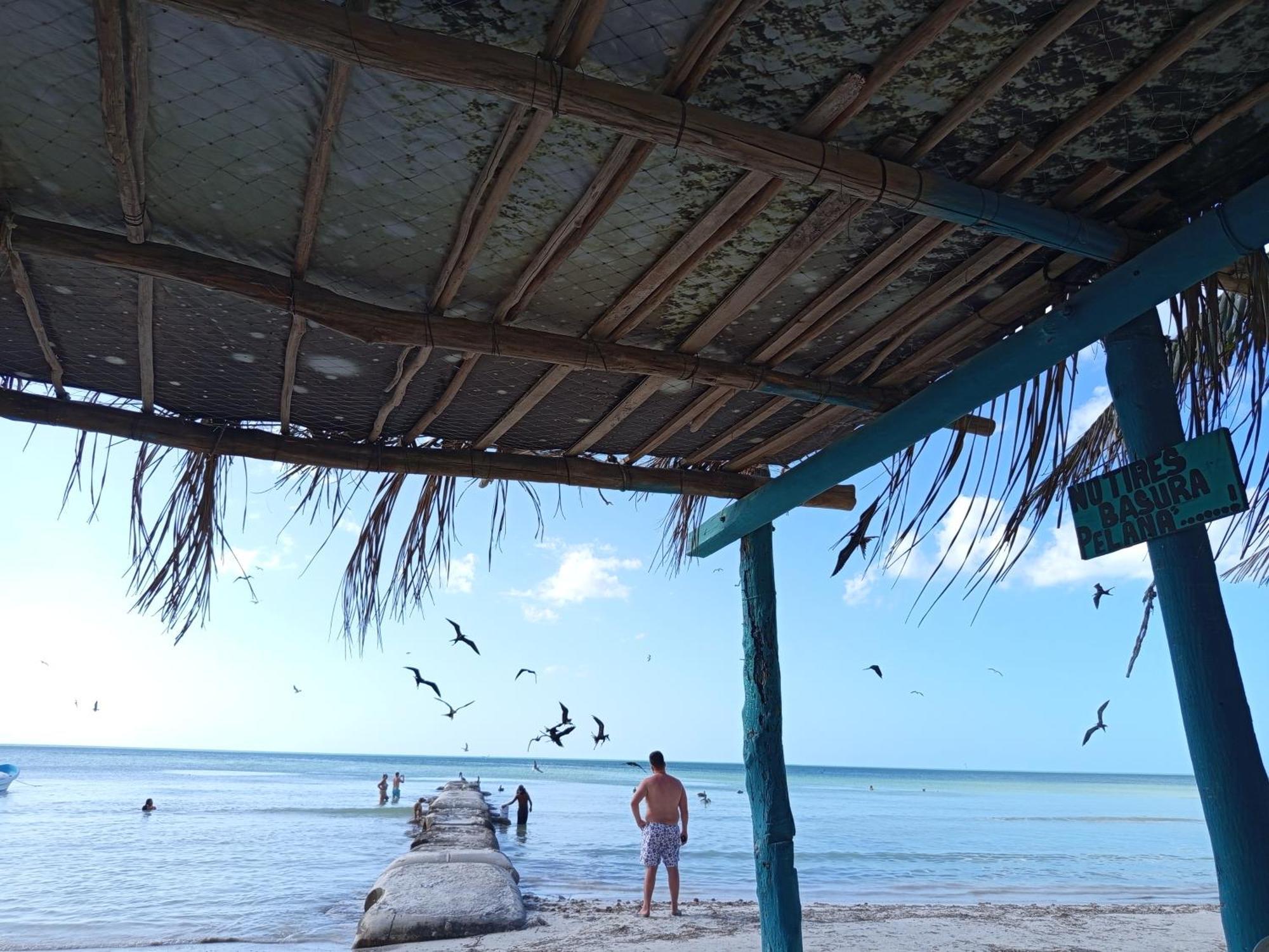 Apartment Mi Habitat Holbox-maravilla Natural